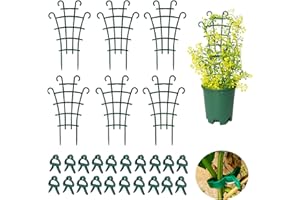XTEMTOAMZ Supporto Piante Rampicanti, Supporti per Piante da Giardino 6 Pezzi, con Clip per Piante 20 Pezzi, Clip per Piante Rampicanti, Porta Piante da Interno, Sostegno per Piante