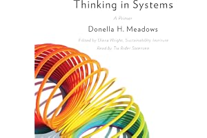 Thinking in Systems: A Primer