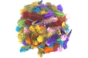Ehuihuan 100 Unidades de Colores Plumas Decoracion, Plumas de Faisán Naturales No Se Desvanece, Plumas Manualidades para Atrapasueños, Máscara, Decoración