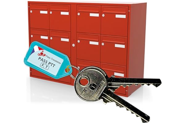 Clé Pass PTT F+T - Ouvre Serrures Boîtes aux Lettres & Immeubles (Norme La Poste) - Acier Nickelé - Lot F10 et T10