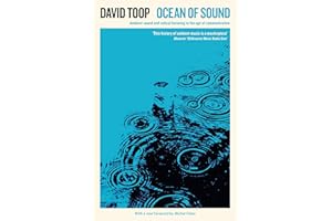 Ocean of Sound: Ambient Sound and Radical Listening in the Age of Communication