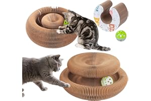 BONITACRYLIC Kitty Kurlz Cat Toys for Indoor Kitten & Adult Cats – Magic Accordion Scratcher Board, Curly Scratch Ring, Enrichment Play Track with Ball, Flexible Kurls for Outdoor or Indoor Fun