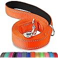 Joytale Padded Handle Dog Lead, Double-Sided Reflective Nylon Leads for Training, Walking Leash for Large, Medium Dogs, 1.8m × 2.5cm, Orange