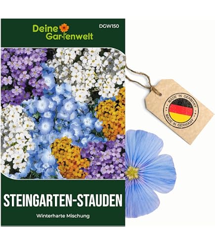 Weier Mauerpfeffer Saatgut Sedum album Samen wildform Bodendecker fr  Steingrten Heidegrten und Dachbegrnung (1 Portion) : Amazon.de: Garten
