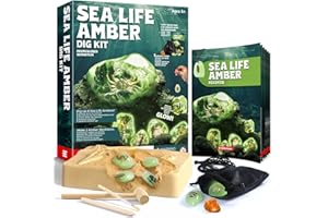 EDUMAN Set di Scavi in Ambra per Bambini, Esperimenti di Scavo di Fossili per Bambini a Partire da 6 Anni, Accessori per Scavi, Regali Giocattolo per Ragazzi e Ragazze(Animali marini)