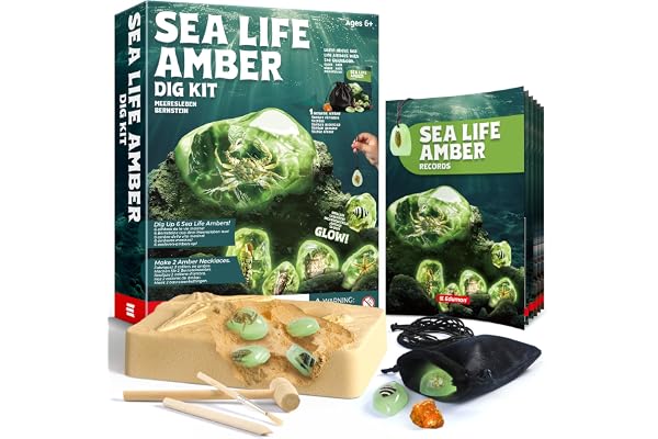 EDUMAN Kit de Fouille d'Ambre, Fossiles et Kit d'Excavation de Fossiles, Expériences de Fouille à partir de 6 Ans, Jouet Éducatif Cadeau pour Garçons et Filles (Animaux Marins)