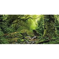 MIRRORANG Aquarium Hintergrund 180x46cm - Tropisches Meer Design Für Terrarium