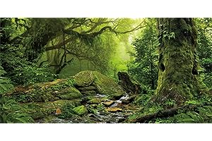 MIRRORANG 120x46cm Foresta Tropicale Terrario Sfondo Ruscello Verde Enorme Albero Rettile Habitat Sfondo Nebbioso Foresta pluviale Acquario Sfondo Vinile