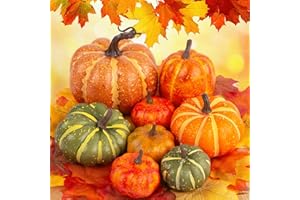 ‎HAKACC HAKACC Künstliches Kürbissse Set, 7 Verschiedene Gefälschte Kürbisse mit 30 Blatt Künstlichen Ahornblättern für Thanksgiving-Halloween-Party-Dekoration