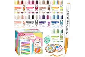 Lyuvie 81 Colores de Rotuladores Acrilicos,1-6mm Pincel Marcadores-Rotuladores Acrilicos Permanentes para Tela Papel Madera Piedra Guijarros Vidrio Plástico Artesanía Suministros