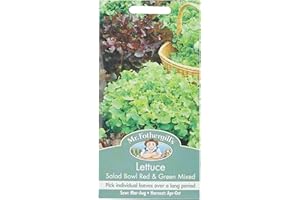 MR FOTHERGILLS Mr Fothergill's 17329 Vegetable Seeds, Lettuce Salad Bowl Red & Green Mixed, red/Green