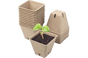 Schramm® Vasi da semina 20, 60 o 100 pezzi in cellulosa Altezza: 5,5 cm vaso per piante biodegradabile Vasi per piante, Anzahl:20 Stück