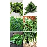 Agrodal Agriculture Horse Seed Local Greenery Vegetables 6000 Seeds Economic Package