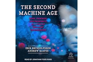 The Second Machine Age: Work, Progress, and Prosperity in a Time of Brilliant Technologies