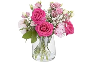TREND FOR HOME Vase en Verre Transparent H: 17 cm Vase Rond Vase Muguet Vase Fleurs Séchées Jacinthe Vase Pampa Vase Rose Vases pour Fleurs Vase Decoratif Maison Deco | ⌀ 11.9 cm | Zinnia