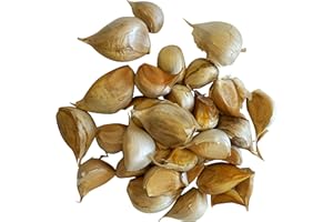 AGRICOLA LA TRECCIA Aglione a spicchi misti - 1 kg per mangiare o seminare - Prod. 2023