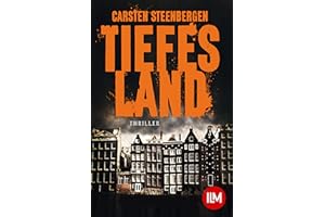 Tiefes Land: Amsterdam-Krimi