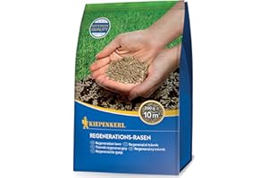 Kiepenkerl Regenerations-Rasensamen 651005, 0,25 kg - Hohe Regenerationsfähigkeit, schnelle Keimung, ideal für Rasenreparatur, robust und keimstark
