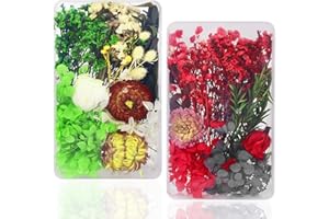 CYIOU 2 Kisten Natürliche Getrocknete Blumen Mini Trockenblumen Bunt Gemischte Gepresst Blumen Blätter Set für DIY Karten Basteln Kerze Handwerk Epoxidharz Scrapbooking Dekoration,GHLH02