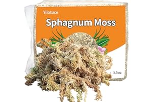 Yilotuce Sphagnum Moos, 155 g spaghnummoss für Orchideen, Gutes Kultursubstrat für Orchideen, Geweihfarne, Pflanzensetzlinge, Bewurzelung von Stecklingen und Anderen Pflanzen