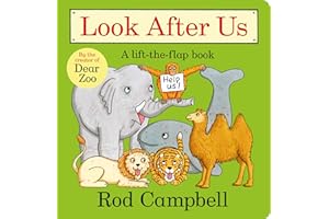 Look After Us (Aziza's Secret Fairy Door, 131)