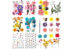 HEILOK Natürliche Gepresste Blumen 62 Stück DIY Getrocknete Blumen Gemischte Gepresste Blätter, Trockenblumen Gepresste Blumen für Basteln Epoxidharz Scrapbooking Deko