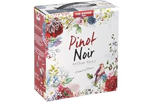 Arthur Metz - Pinot Pinot & Cie - Vin Rouge Bag-in-Box BIB (1 x 2,25L)