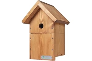 GREEN FEATHERS Spycameracctv Vert Plumes en Bois Bird Box – Certifié FSC, fabriqué au Royaume-Uni