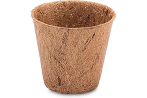 ProFlora® Kokos Anzuchttöpfe für eine erfolgreiche Anzucht - Abbaubare Pflanztöpfe ideal für Stecklinge, Setzlinge & Samen (50ml, 50 Stück)