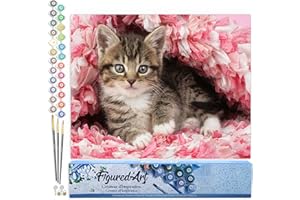Figured'Art Peinture par Numéro Adulte Chaton enrobé - Activité Manuelle Kit de Loisir Créatif DIY Numéro d'Art Complet - 40x50cm sans châssis en bois