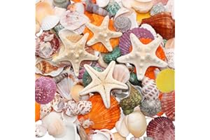 VBNZBK Conchiglie decorative e stelle marine, 3-7 cm, 520 g, conchiglie da spiaggia, per il fai da te, ideali per vasi, per feste, matrimoni, lavori fai da te, carro armato di pesce