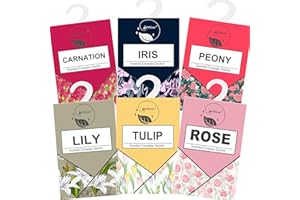 GOPERFUMME 6pcs Wäscheduft Schrank Duftsäckchen Kleiderschrank Dufterfrischer, Duftbeutel Kleiderschrank Duft Hanging Beutel, Schrankdeo Natürlichen Geruch Sachet, Duftsachet, Schrankduft Frische (6pcs1)