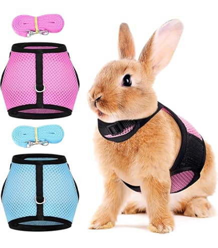 Imbracatura Per Coniglio Shengxi - 2 Pezzi Regolabili, Con Guinzaglio E Sacchetti Escrementi, Taglia M - Foto 8