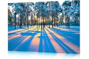 KUCHOOW Acoustic Panels Self-adhesive, 48"x32"x0.4", Pictures for living room, Bedroom, Home/Office/Dining room Decorations, Sound Absorption, 8 Pcs, Winter Forest