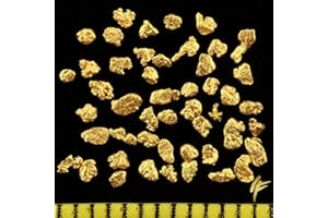GOLD-FIEBER Lot de 50 pépites d'or en Alaska avec certificat d'authenticité