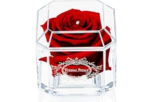 A 100% Real Rose That Lasts Years - Eternal Petals, Handmade in UK, Flowers Delivery Next Day Prime– White Gold Solo with A Clear Crystal (Deep Red)