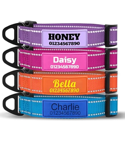 Personalisiertes Hundehalsband - Mit Name & Telefonnummer Bestickt