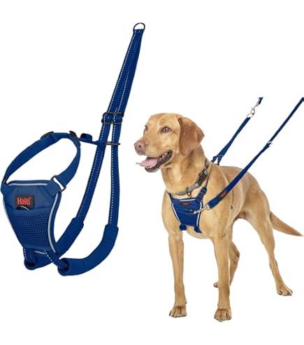 Carhartt No Pull Nylon Dog Harness Fully Adjustable with Quick