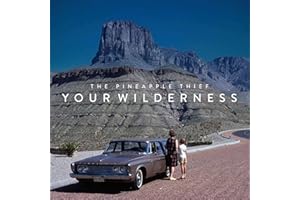 Your Wilderness