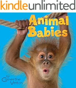 kindle best category lists