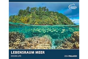 PALAZZI Lebensraum Meer 2024 - Bild-Kalender - Poster-Kalender - 60x50: Ocean Life