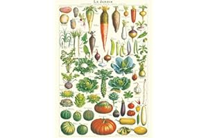 Cavallini & Co. Le Jardin - Hoja decorativa de papel (20 x 28 pulgadas)