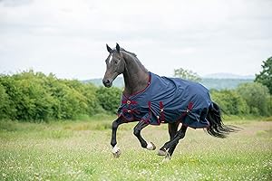 Gallop Trojan 600d Standard Neck 50g Turnout Rug