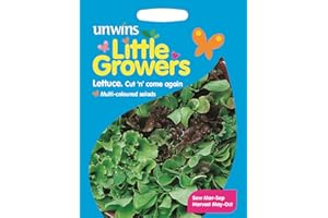 Unwins Pictorial Packet - Little Growers Lettuce Cut n' Come Again - 500 Seeds