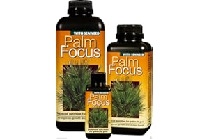WOOTONG palm focus 100ml growth technology