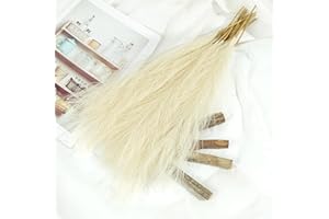 HAOSHICS 10 piante artificiali di pampa essiccate, fiori finti per bouquet di canne, decorazione per matrimoni, vacanze, feste, bohémien, decorazione per la casa (beige)