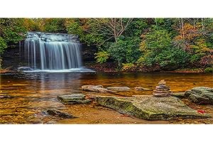 MIRRORANG 120x61cm Waterfall Terrarium Background Tropical Rainforest Aquarium Background Lake Stone Rocky Reptile Habitat Background Vinyl