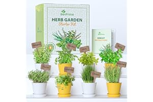 BonPrime Kit Jardinage - 8 Variétés de Herbes Aromatiques - Graine Potager - Plantes D'intérieur - pour Jardin, Balcon ou Mini-Serre - Potager Interieur - 8 Pots Écologiques