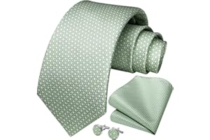 HISDERN Cravatta Uomo Elegante Cravatta Fazzoletto Gemelli Formale Regali per Feste di Nozze