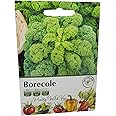Borecole Curly Kale Seeds in Pictorial Packet from a UK Seller Popular Supply of Winter Greens with Good Tolerance of Low Temperatures